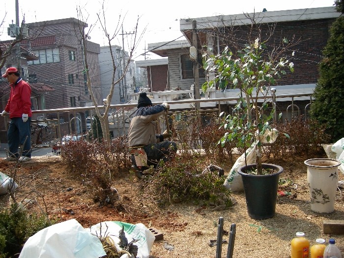 서울시 광진구 능동 [개인주택] 조경공사
