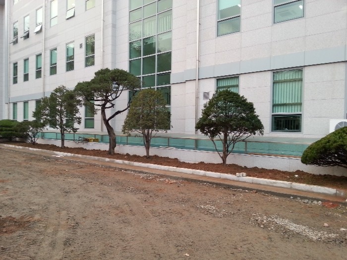 file_5c330987a99ca
