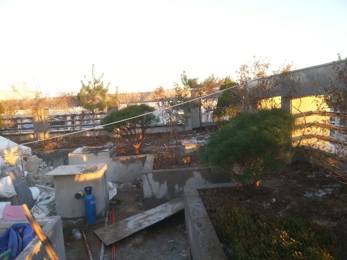 서울시 종로구 숭인동 [빌딩 옥상] 조경공사